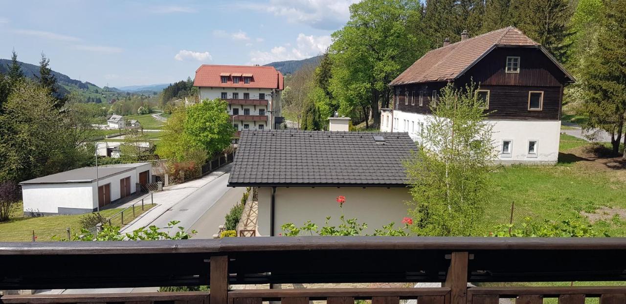 Haus Elena Am Semmering Steinhaus am Semmering Екстер'єр фото