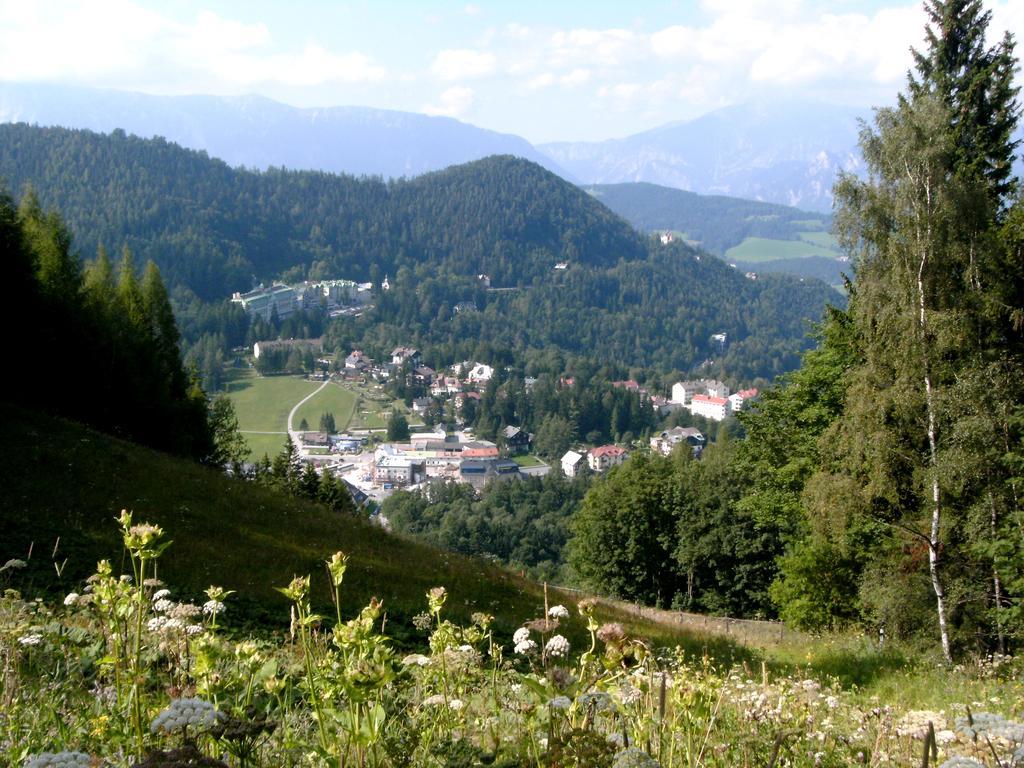 Haus Elena Am Semmering Steinhaus am Semmering Екстер'єр фото