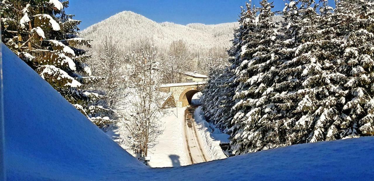 Haus Elena Am Semmering Steinhaus am Semmering Екстер'єр фото